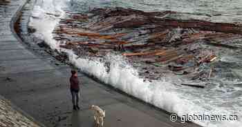 B.C coast residents again bracing for high winds amid warning