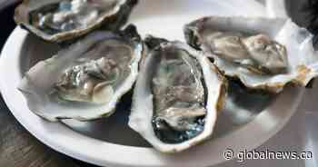 Oysters recalled in 3 Canadian provinces over norovirus concerns 