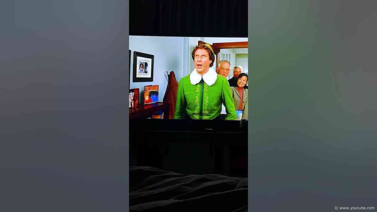 Dog Only Wants To Watch "Elf" During Christmas Season | The Dodo