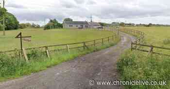 Former East Boldon poultry farm set for transformation into family residence amid Green Belt debate