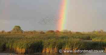 £500k for wildlife restoration in Oxfordshire and Buckinghamshire