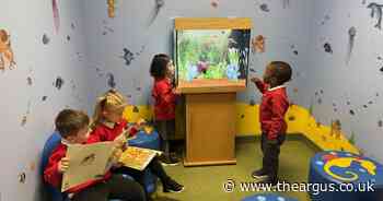 Primary school opens new library and calm area for pupils