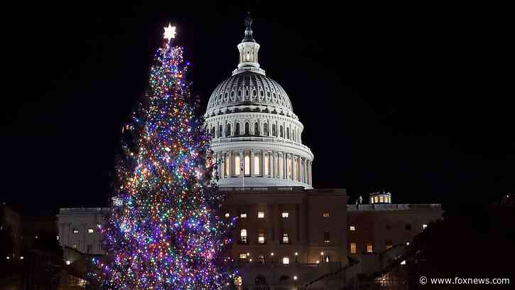 Rockin’ around the congressional Christmas tree