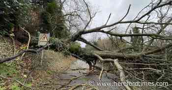 Message to Herefordshire workers who battled Storm Darragh chaos