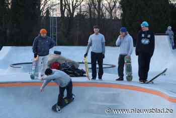 Van voetbalveld tot skateparadijs met pool en Maaskeien: gloednieuw skatepark in Dilsen geopend