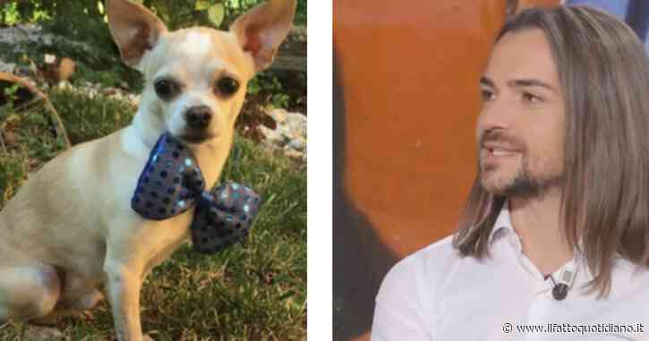 Valerio Scanu fa il funerale al cane con una nota agenzia: “Grazie per la vostra umanità. Dopo l’ultimo saluto pet therapy con le donzelle”