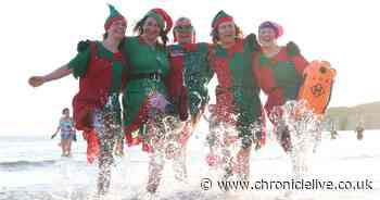 Cullercoats Christmas dip see hundreds of elves and lobsters brave icy waters