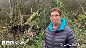 Tornado damage 'still being repaired' 12 months on