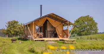 These luxury safari tents next to a tranquil pond are taking glamping in Wales to a new level