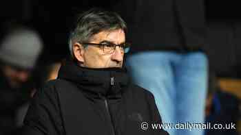 Fulham 0-0 Southampton: Ivan Juric watches from the stands as the Saints bring run of three successive league defeats to an end