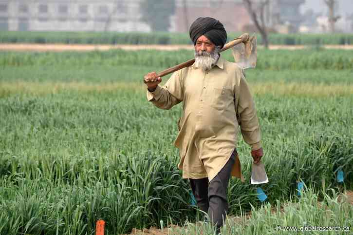 Corporate Agriculture’s War against the Family Farm: Tears, Water, Gas and Cannons But India’s Farmers Stand Firm