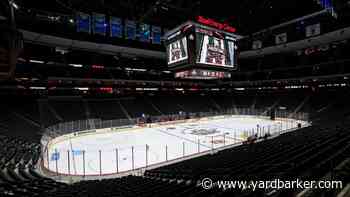 Multiple Financial Firms Bidding for Minnesota Wild Arena Naming Rights