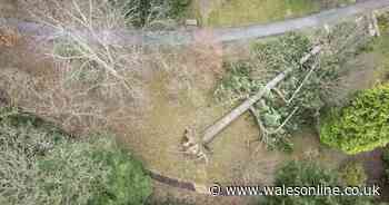 Welsh tourist attraction says Storm Darragh cost £150,000 worth of damage