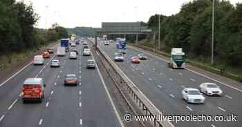 Woman dies after police called to M6 incident