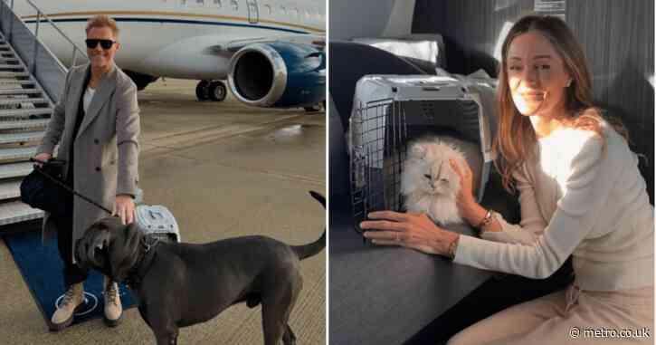 Ronan Keating flies pets home for Christmas on private jet where one seat costs £13,000