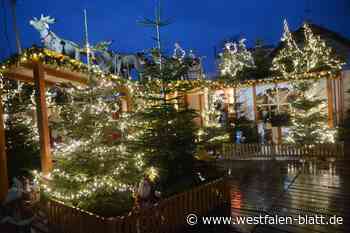 Wie ein privater Weihnachtsmarkt zum Erfolgsprojekt wurde