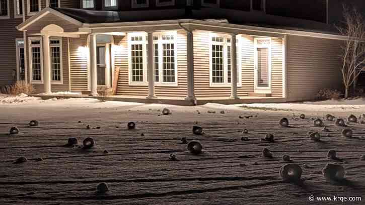 What are 'snow rollers'? Photos of rare phenomenon in Michigan spark curiosity