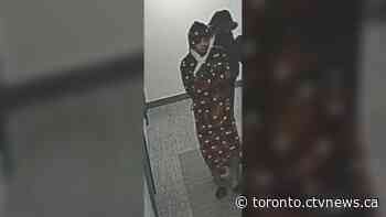 Police searching for suspect wanted for "unnecessary suffering and death" of a dog in Brampton