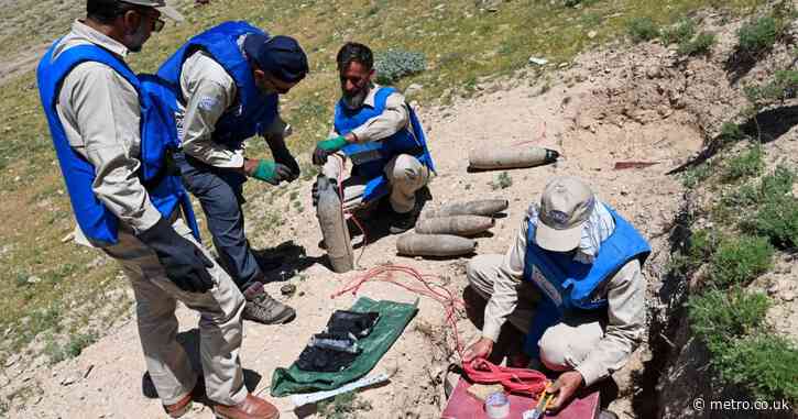 Ex-Taliban fighters helping charities locate landmines they planted in Afghanistan