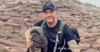 Celebrities who visited Wales in 2024 including Woody Harrelson and Tom Hardy