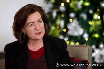 The Eluned Morgan interview: Why I went for the top job, facing Nigel Farage, and how I'll spend Christmas