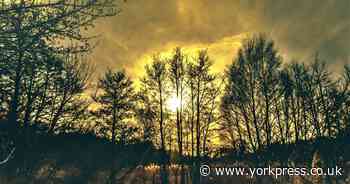 Why Askham Bog in York  is special and deserves protection