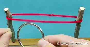 Almost no one can work out how to remove the ring from the string in tricky brainteaser