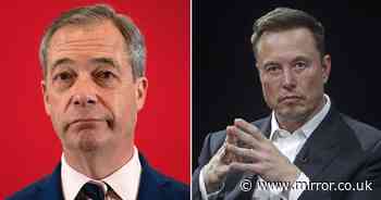 Elon Musk to help Reform overtake Tory Party 'within three months'