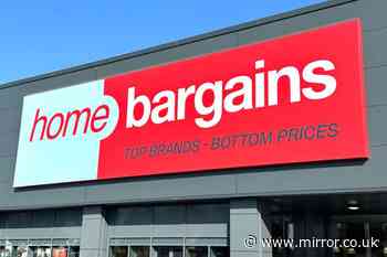 'Stunning' £20 Home Bargains mirror could be 'perfect' Christmas gift