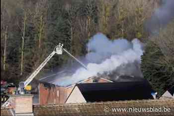 Beelden tonen hoe loods in Borgloon verwoest wordt door brand