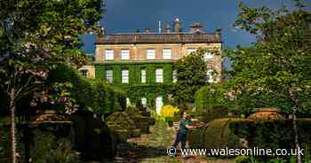 King Charles appears on BBC Countryfile Christmas special filmed at Highgrove