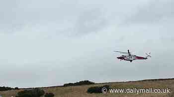 Plane crashes into field just moments after take-off - as emergency services rush to scene