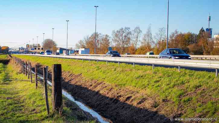 Klein leger aan hulpdiensten achtervolgt hond op snelweg