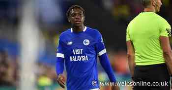 Tonight's Cardiff City news as appointment imminent and teenage prospect praised after debut