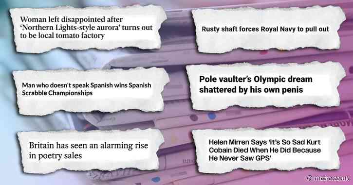 A pole vaulter’s penis and a Chinese pigeon spy – the best headlines this year