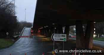 Calls grow for North East mayor and council leader to face special grilling over Gateshead flyover crisis