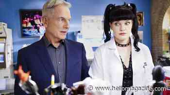 The real reasons NCIS stars quit the show – Pauley Perrette, Mark Harmon, Michael Weatherly, more