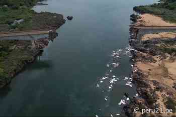 IMPACTANTE: Colapso de puente en Brasil deja un muerto y 16 desaparecidos