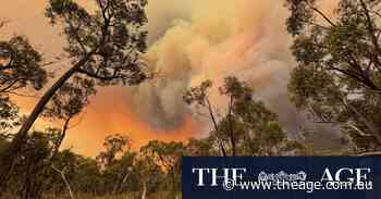 Christmas Eve mercy dash for Halls Gap evacuees as Grampians bushfire bears down