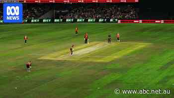 Patchy Docklands surface looks bad as Big Bash considers avoiding venue