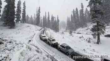 Vehicles Stuck, Tourists Stranded After Heavy Snowfall In Himachal's Manali; 700 Rescued