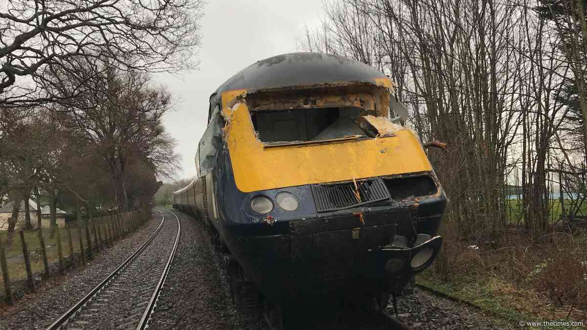 Train hit fallen tree at 84mph after warning not passed to driver subscription