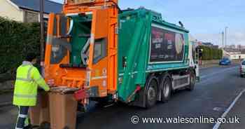 When is my Christmas 2024 bin collection - government website date search information for all England and Wales