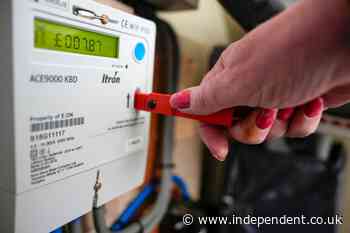 ‘Unsustainable’ prepayment meters could see households spend third of income on energy, experts warn