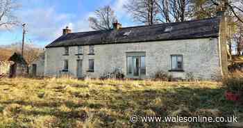 Your idyllic rural retreat renovation project and 19 acres of dreamy countryside await