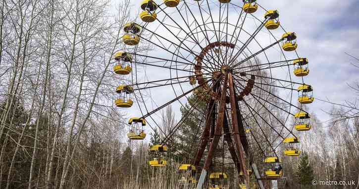 How fungus in the Chernobyl exclusion zone can absorb deadly radiation