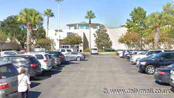 Fight erupts in mall parking lot after mom told two children to stand in parking space to hold it