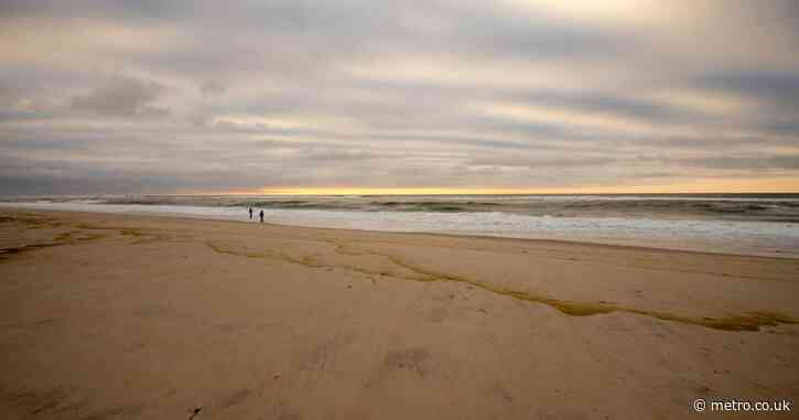 Human jawbone found in sand by beachgoers on an evening stroll