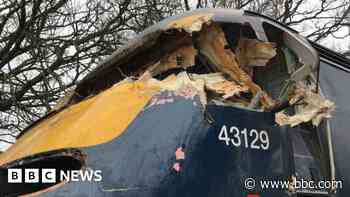 Fallen tree warning too late to stop train crash