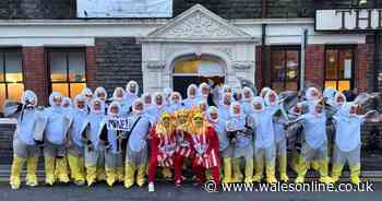 Hilarious scenes as people run around valleys town dressed as seagulls and chips